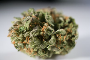 Heavenly Buds Vendor Day at Dank’s Edmonds featuring premium cannabis strains