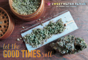 Sweetwater Farms Vendor Day at Dank’s Renton featuring living soil cannabis and premium craft strains.